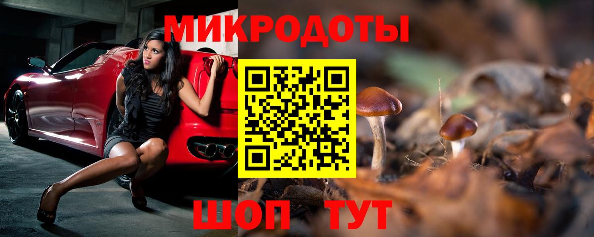 Галлюциногенные грибы ЛСД Димитровград