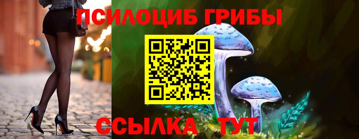 Галлюциногенные грибы Psilocybe  Вход с VPN  Димитровград  Галлюциногенные грибы мицелий 